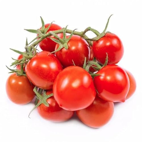 La zappa Semi di pomodoro piante per orto e giardino coltivazione domestica e professionale (Grappolo d'inverno)