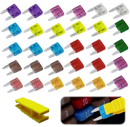 Fusibili Per Auto Da 30 Pezzi, Estrattore Per Fusibili Per Auto Da 1 Pezzo, Mini Fusibili A Lama, Fusibili A Lama Per Auto Di Piccole Dimensioni, Fusibili Per Auto Da 2 A, 3 A, 5 A, 7,5 A, 40 A