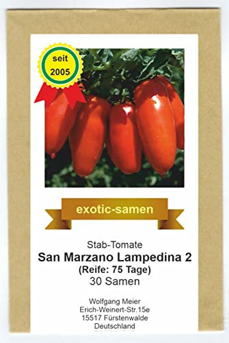 Tomate - San Marzano Lampadina 2 - rote Flaschentomate - alte, samenfeste Sorte - 30 Samen