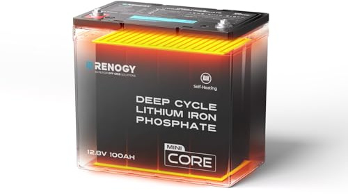 Renogy 100Ah 12V LiFePO4 Battery Mini Size with DuoHeat Tech, Self-Heating, 100A BMS, 5000+ Cycles, 5-Year Warranty, Perfect for RV, Winter Fishing, Caravan and Off-Grid Use