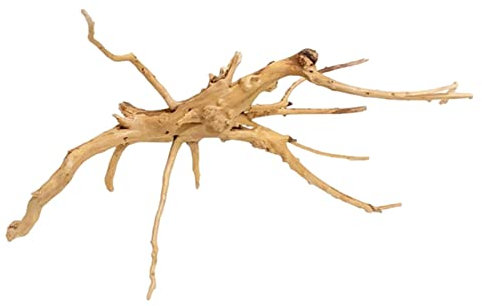 Fulenyi Aquarienpflanzen Schildkrötenpanzer Baumwurzel Treibholz Massive Reptilienholzzweige Terrarium Aquarium Zubehör Zum Verstecken Klei-ner Fische