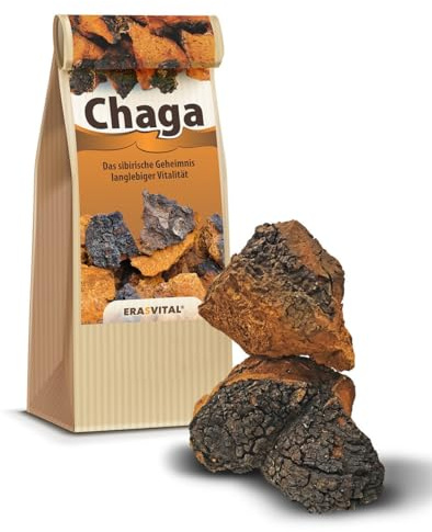 Chaga Pilz Brocken wild in den Wäldern Sibiriens gesammelt schonend getrocknet vegan Broschüre mit vielen Rezepten (500 Gramm (1er Pack))