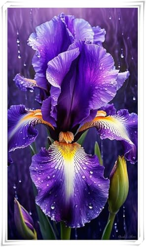 Bulbo di Iris | Elegante, Tondo, Denso, Resistente, Adattabile, Naturale-4 bulbi