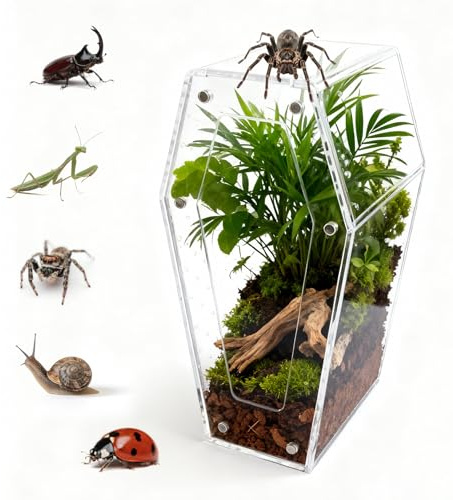 Bartuke Caracoles de terrario acrílico, caja de alimentación transparente para reptiles pequeños con agujeros de aire, hábitat de insectos para insectos, lagartos, escarabajos, caracoles, arañas