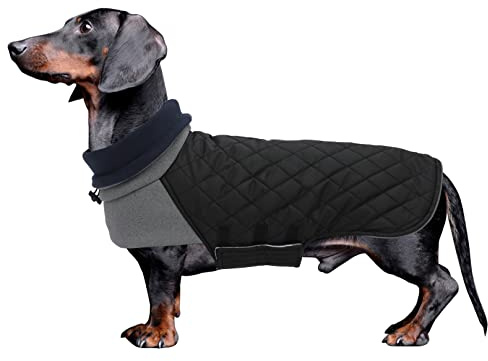 Geyecete Chien Manteau d'hiver pour Teckel Imperméable Pull pour Teckel Miniature avec Trou pour Harnais,Pulls à col Haut Veste pour Chien,Teckel Gilet pour Petits Chiens-Noir-L