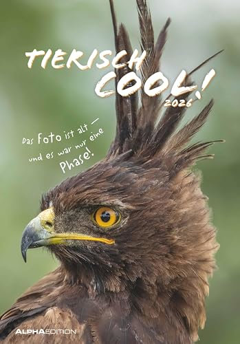 Alpha Edition - Tierisch cool! Kalender 2026 – Wandkalender 23,7×34 cm mit lustigen Tiermotiven & Sprüchen, humorvoller Bildkalender mit Platz für Notizen, perfektes Geschenk für Tier- & Humorfreunde