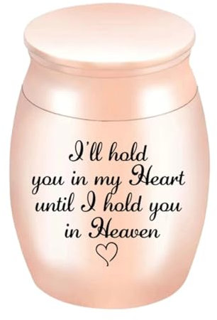 Lot de 2 mini boîtes à cendres funéraires en acier inoxydable pour petits animaux (rose)