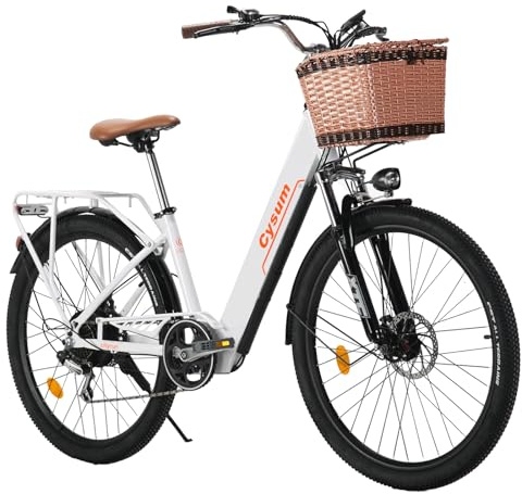 Antgooat Cityrun 26-tums elcykel för kvinnor och män, 250 W motor, 36 V/10 Ah batteri, 25 km/h, pedaliserad pedalering, autonomi 40–80 km och korg, vuxen unisex