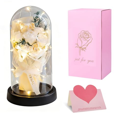 YushengTai Ewige Rose Im Glas mit LED Licht, Infinity Rose Als Zeitlose Deko und Geschenk für Frauen Zu Valentinstag, Geburtstag, Muttertag und Jubiläum (Weiß)