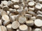Tolux Querholzplättchen 25mm, Holzkappen 25mm, Holzstopfen zum Verschließen von Ästen, Bohrlöchern und Holzfehlern. Größe 25 x 9 mm, 25 Stück