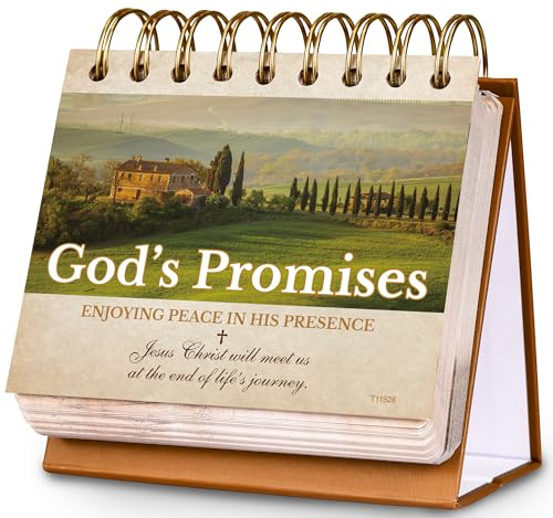 Motivational Calendar - Desk Calendar with Inspirational Thoughts, Christian Gifts, Religious Gifts for Women and Men, 4.7'' x 5'' Flip Calendar, God's Promises Perpetual Calendar, Christian Decor