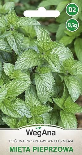 WegAna Menthe poivrée Graines 0,1g Graines de légumes robustes Graines de légumes Culture Semences Herbes de cuisine Balcon & jardin Herbes aromatiques