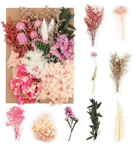 Tomoyuki Fiori Secchi Naturali, Fiori Pressati Naturali per Resina, Fiori Secchi Decorativi per Floreali Collezione Regalo Candele Scrapbook Artigianato Decorazione della Cassa (Borsa)