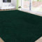 RTBQJ-AT Teppich 160x230 cm Microfiber Weicher Teppich Wohnzimmer, Rugs for Living Room Moderner Flauschiger Kurzflor Teppich Waschbar, Grün Teppich
