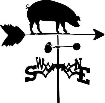 EICOFF Exquisite Metal Weather Vane Ornament Boar Pig Weather Vane Weathercock Wind Direction Indicator Weathervane Measuring Tools with Anti-Rust Coating Satin Black for Garden Patio Yard Decorati