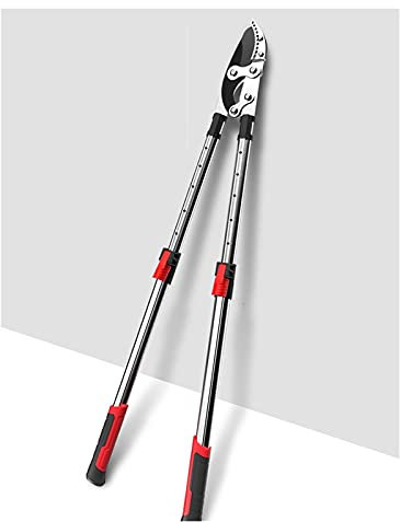 Forbici telescopiche Forbici da potatura lunghe telescopiche Forbici da siepe Forbici a incudine Attrezzo da giardino Tagliarami per alberi Attrezzo manuale per l'agricoltura Tagliabordi Tagliaerba