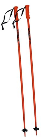 Ronyme Lot de 2 bâtons de Ski pour Adultes, en Alliage d'aluminium avec poignée Ergonomique, pour en Plein air, Les Sports de Neige de