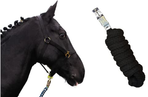 Halfter Fohlen Halfter mit Strick Halfter für Holzpferd - Fohlenhalfter 2-Fach verstellbar an Kinnriemen & Genickstück (Fohlen, Schwarz)