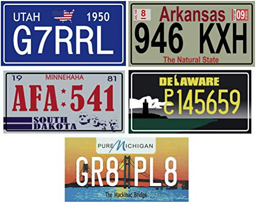 OPO 10 - Los mit 5 USA Autokennzeichen aus Metall - Repliken von echten amerikanischen Kennzeichen (v6)