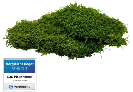 GJS Moos-Platten - konserviertes Flachmoos zum Basteln, Deko & DIY, ideal für künstliche Bilder, Pflanzen-Wand, Kunst, Terrarium, Weihnachten (Krippe, Adventskranz) und Ostern (Gras im Nest) (100 g)