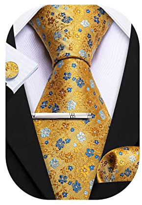 Barry.Wang Mens Ties Set Floral Necktie Pocket Square Cufflinks Clip Classic Mens Silk Ties 4PCS Set for Wedding Party Business