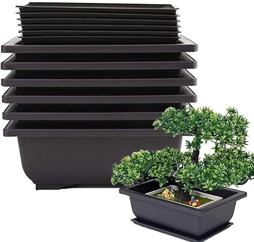 Roundsky Set di 6 pentole per bonsai – Classic Deep Wet Tray rete integrata per piante, fiori, aromatiche, fornelli quadrati in