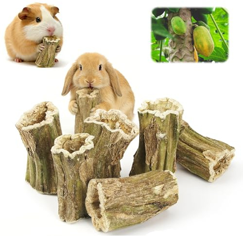 WinHoliLux 6Pcs Organic Papaya Wood Chew Sticks | Rabbit, Hamster, Guinea Pig, Chinchilla, Gerbil, Rat Healthy Chews Teeth Grinding Treats, Squirrel Molar Snack