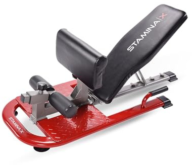 Stamina X 4-in-1 Fitness Bench - Adjustable Weight and Foldable Exercise Bench Roman Chair with Smart Workout App - Up to 250 lbs Weight Capacity