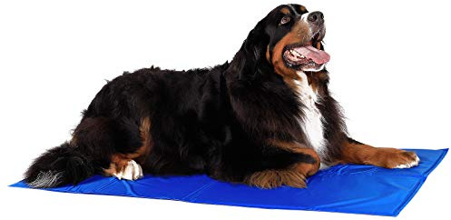 lionto Tappetino refrigerante per Animali Domestici Tappetino rinfrescante per Cani, (XL) 120x80 cm Blu