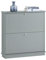 SoBuy Zapatero con 2 Solapas Armario de Entrada Zapatero Estrecho Organizador Gris 76 x 18 x 79 cm FSR99-HG ES