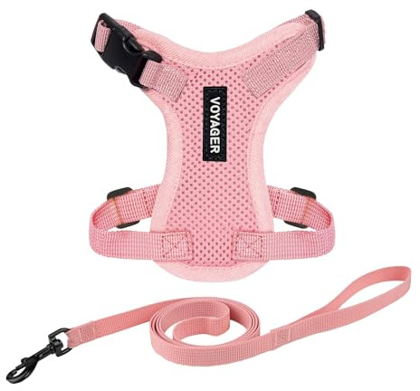 Voyager Escape-Proof Step-in Lock Cat Harness & 5ft Neoprene-Handle Leash Set All-Weather Mesh with Reflective Stitching for Small to Large Cats by Best Pet Supplies, Pink, S