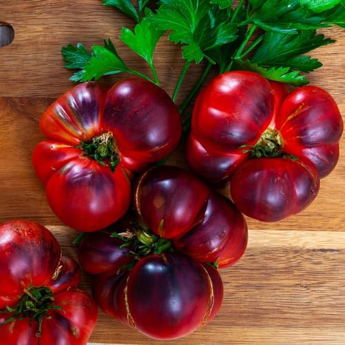 semillas de tomate variedades antiguas - Decoración oficina reliquias extremadamente resistentes 50pcs