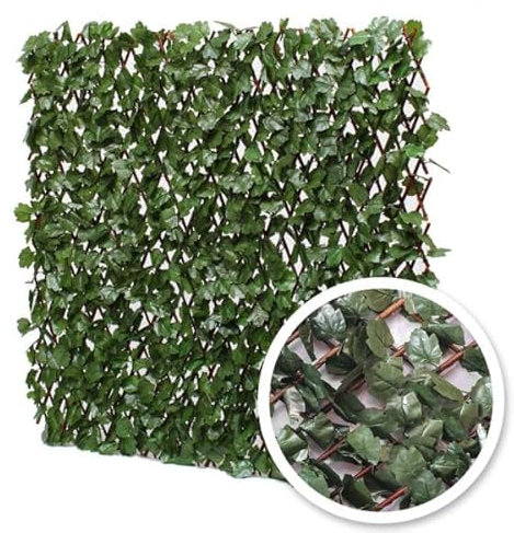 Treillis Extensible Lierre 1mx2m