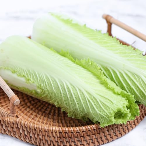 Semi di cavolo cinese - verdi Semi di Pak Choi - semi di esotiche da balcone resistenti giardino sul balcone 450pcs