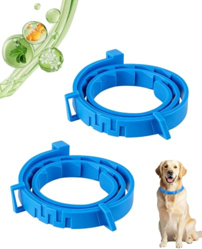 LEEQ Collare Antipulci Cane, Collare antiparassitario per cani/gatti, Collare antizecche per cani, 8 Mesi di Protezione Impermeabile Universale Collare Antiparassitario Cani(62cm)