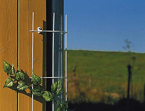 Siena Garden 678217 - Producto para Cultivo, Color marrón