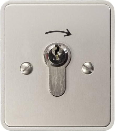 Kaiser Nienhaus Schlüsselschalter, 1-seitig AP 322 600