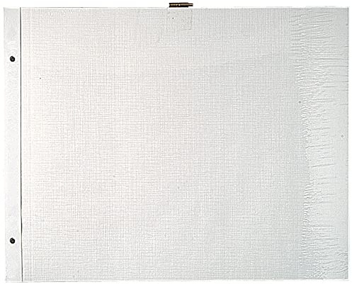 Exacompta 10 Refillblad för Album med Skruvbindning Vita Sidor 37x29 cm