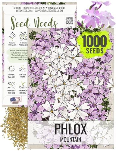 Seed Needs Mountain Phlox Seeds to Plant Light Pink Flowers 1 Pack