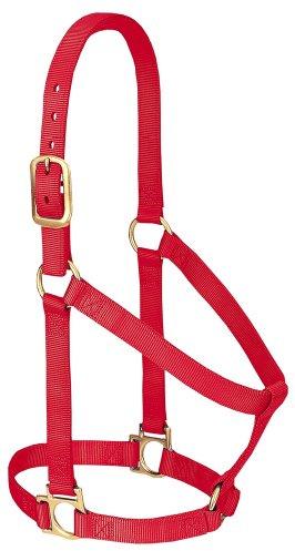 Weaver Hästgrimma i läder, basic, ej justerbar, nylon, röd, 2,5 cm/1 tum, medium häst