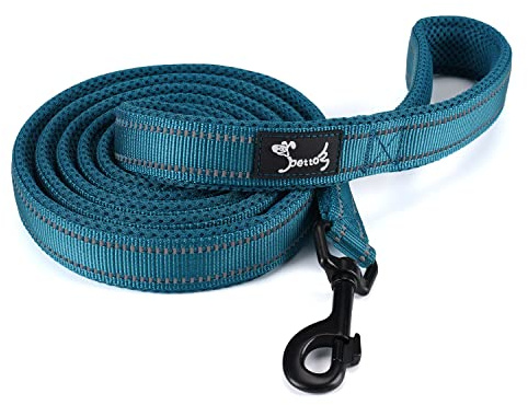 PETTOM Hundeleine Reflektierend Leine aus Nylon mit Weich Gepolsterter Griff und Metallhaken für Training, Robuste Leine Hund für Kleine Mittel Große Hunde (Blau 110 cm)