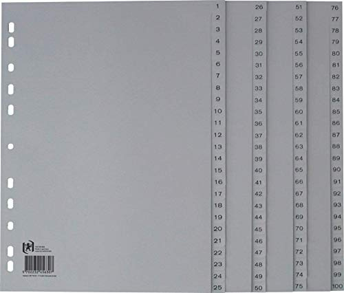 Oxford A4 Kunststoff-Register, 100-teilig, ohne Deckblatt, grau