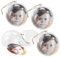 Your Design Fotokugel: 4er-Set transparente Weihnachtsbaum-Kugel für Ihre Fotos (Fotokugel Weihnachten, Fotokugeln, Bilderrahmen)