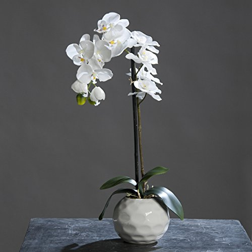 Orkidé Phalaenopsis i vit keramisk kruka kräm 46 cm konstgjord blomma från DPI