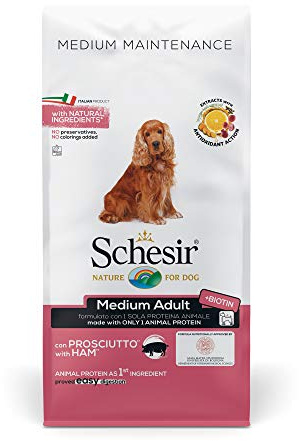 Schesir, Cibo Secco per Cani Adulti di Media Taglia al Gusto Prosciutto, Linea Mantenimento in Crocchette - Formato Sacco da 12Kg