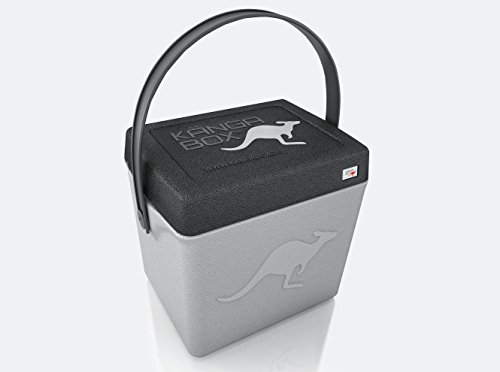 KÄNGABOX® Thermobox, Trip, 20 Liter Inhalt, Silber, mit Henkelgriff, Premium Qualität, Ultraleicht&stabil, Isolierbox, Kühlbox, Festival Box