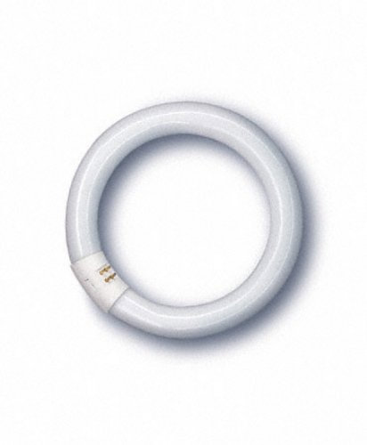 Bombilla fluorescente G10q