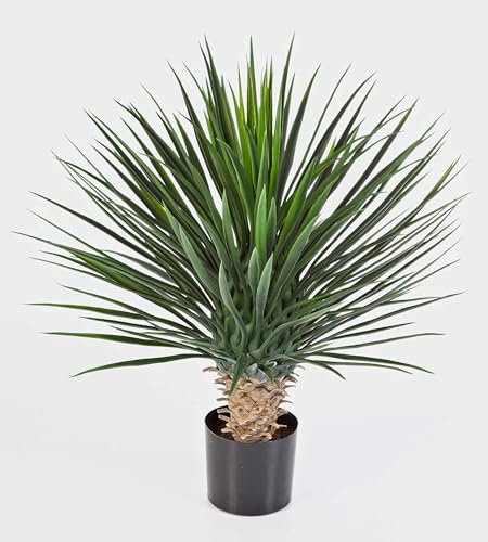 artplants.de Plastic Yucca rostrata Shrub with 176 Leaves, DELUXE, 31/80cm - Artificial Palm Yucca Shrub - Patio Decoration