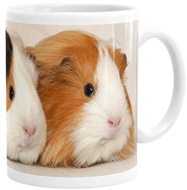 Keramikkopp/mugg med motiv av två hamstrar bredvid varandra