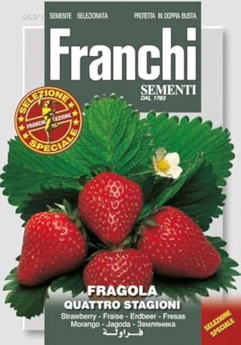 Franchi Seeds of ItalyStrawberry Fragola Quattro Stagioni Seeds